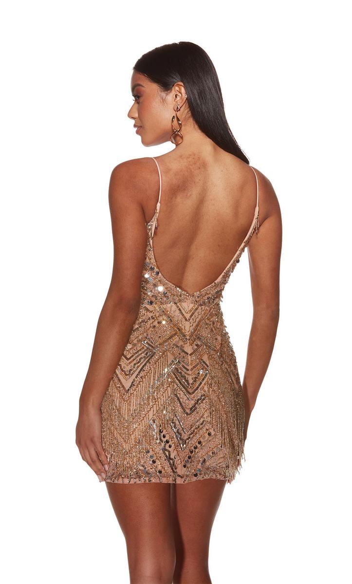 Alyce Paris V-Neck Beaded Homecoming Dress 4802 - Image 4