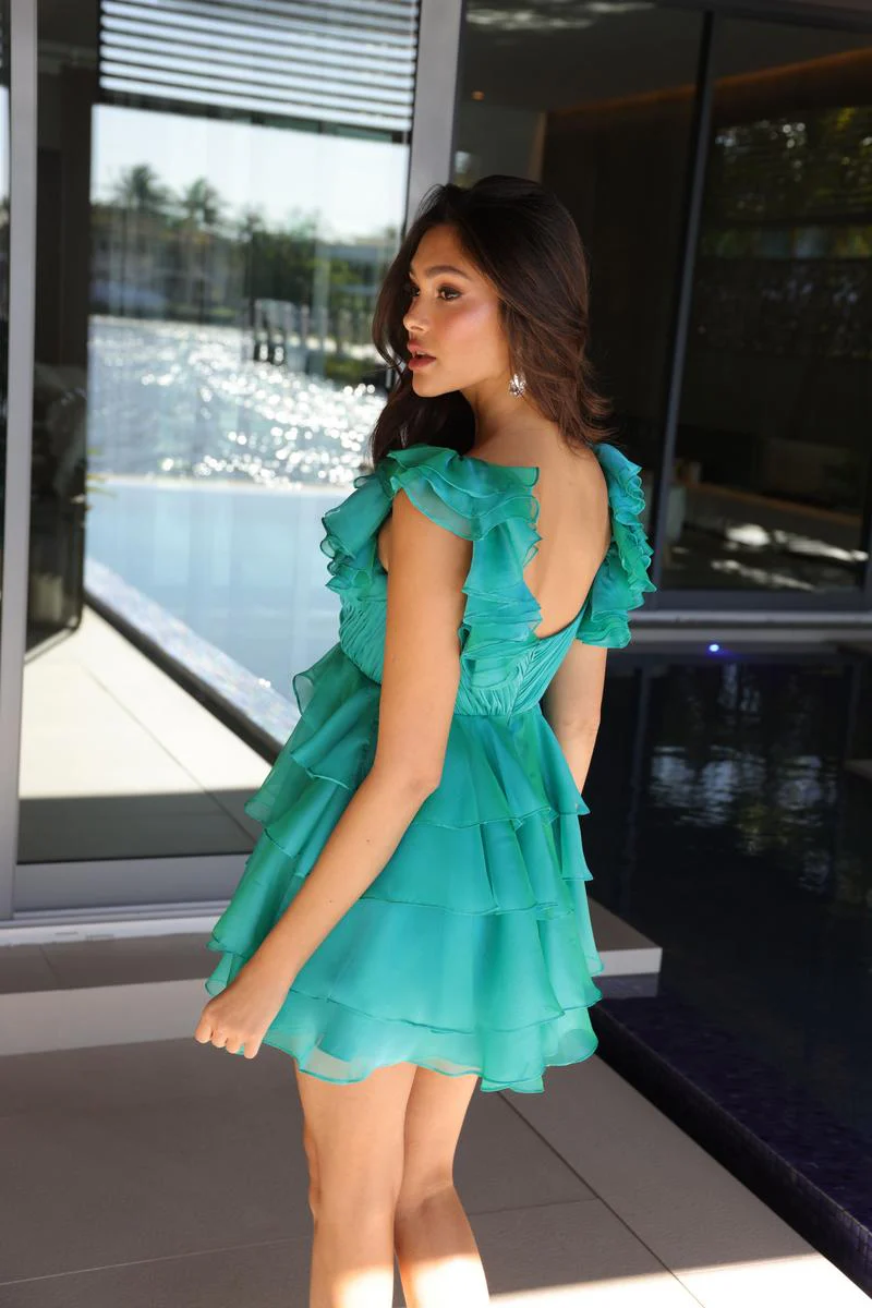 Ava Presley Ruffle Empire Waist HoCo Dress 26377 - Image 2