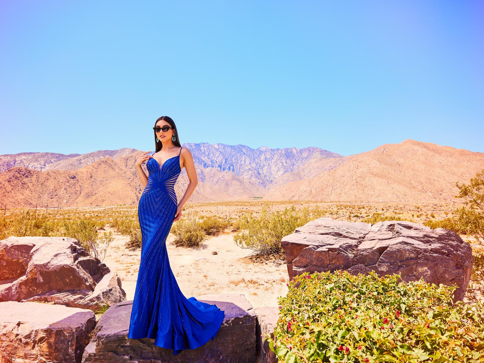 Ellie Wilde Fitted Long Prom Dress EW34002 - Image 10