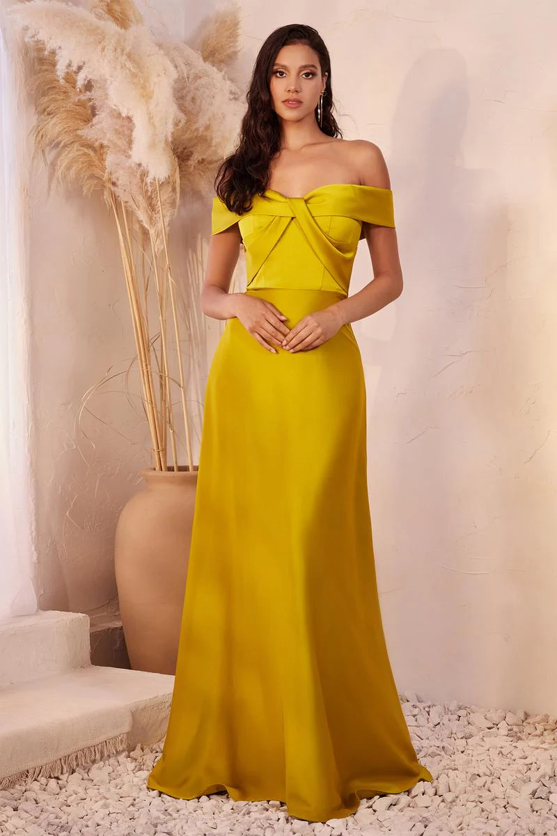 Ladivine Dress CD325 - Image 6
