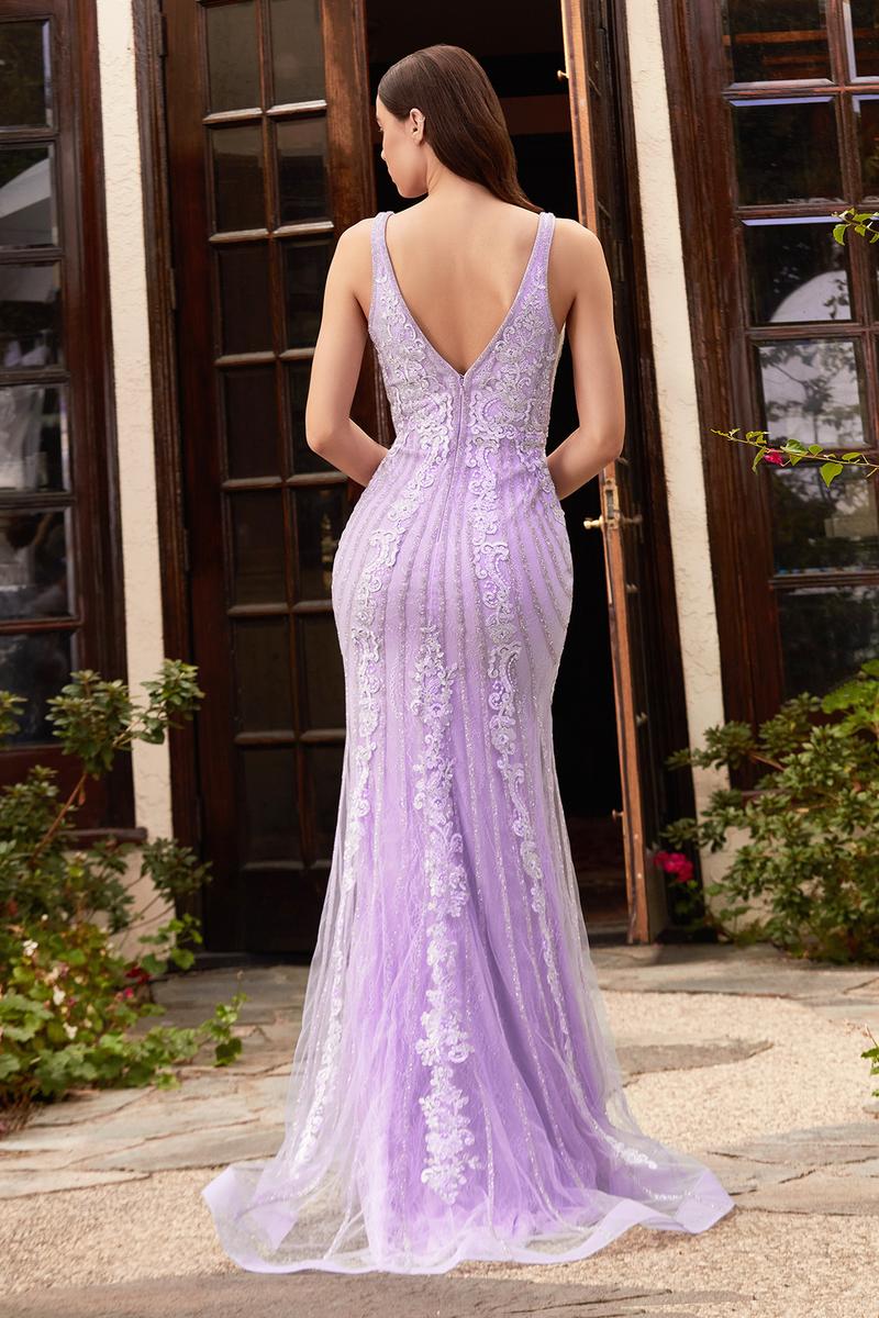 Ladivine Dress CD981 - Image 4
