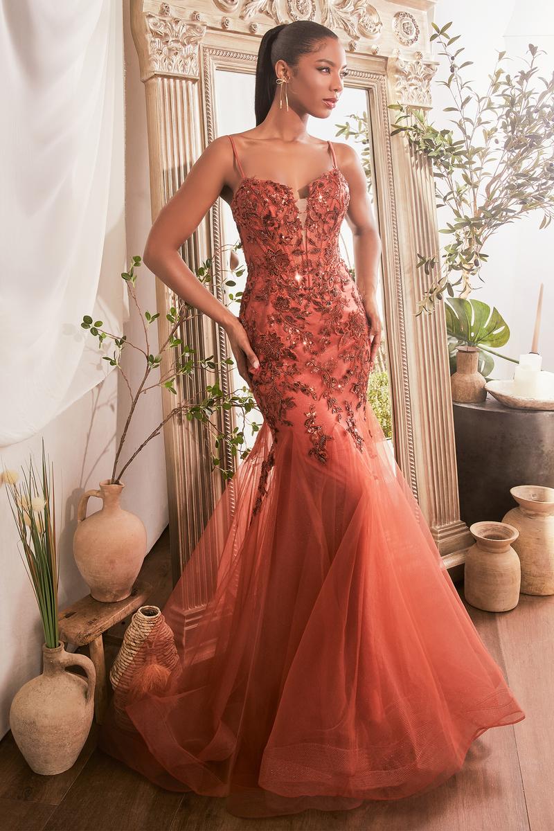 Ladivine Dress CDS488 - Image 2