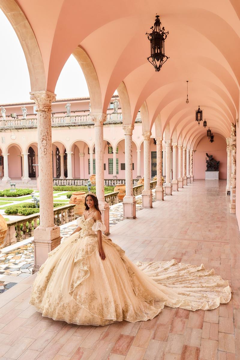 Princesa by Ariana Vara  Dress PR30161 - Image 3