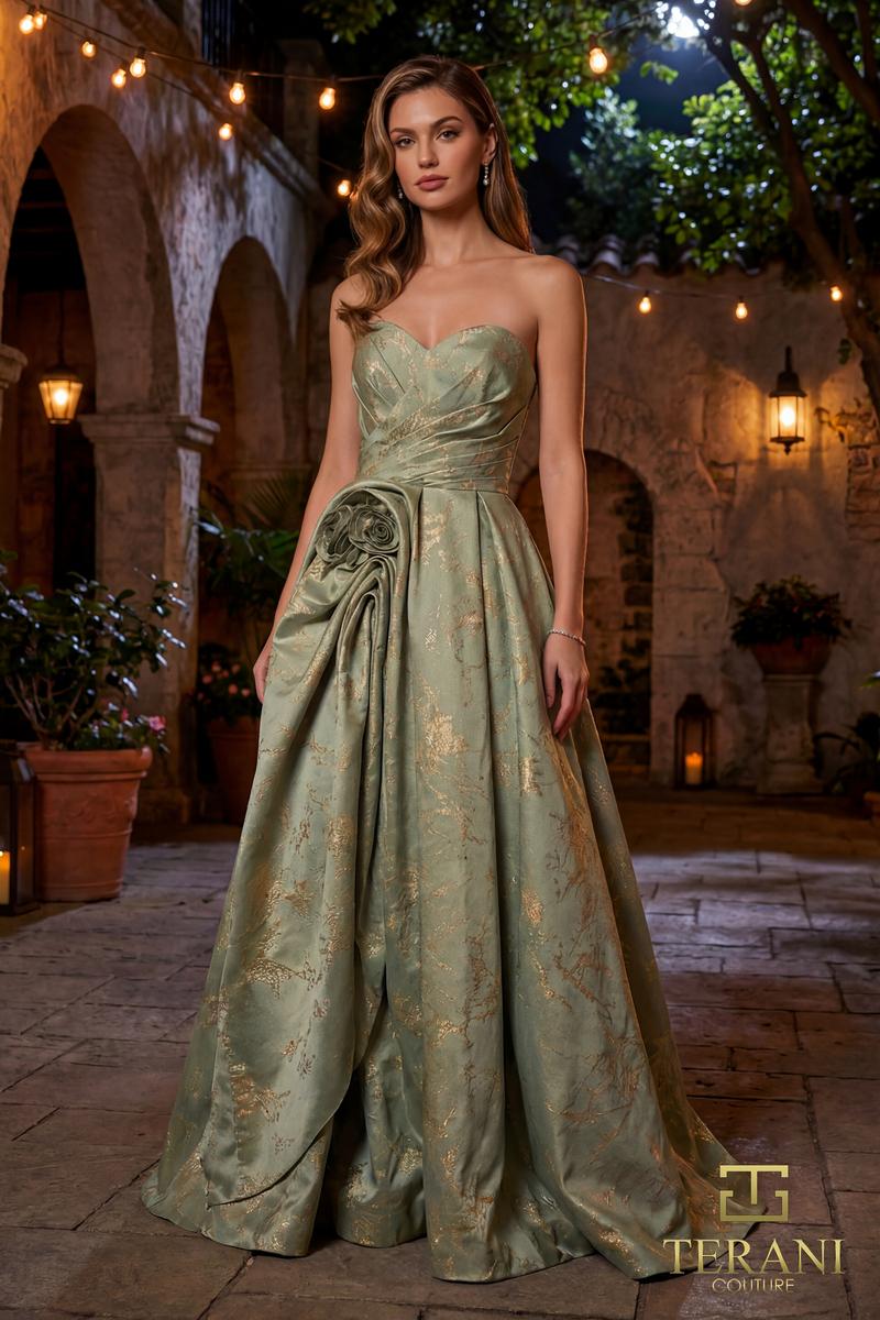 Terani Evenings Dress 261E6266