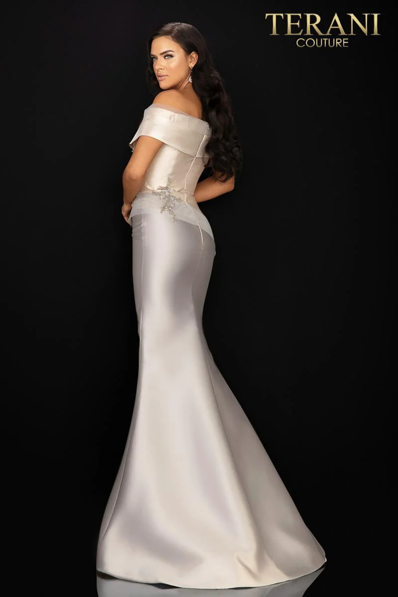 Terani Mother of the Bride Dress 2011M2159 - Image 17