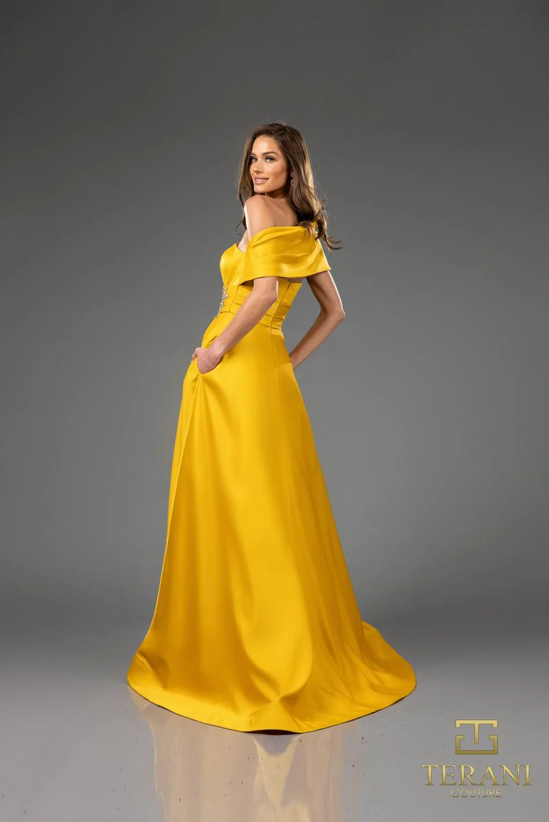 Terani Mother of the Bride Dress 251M4441 - Image 15