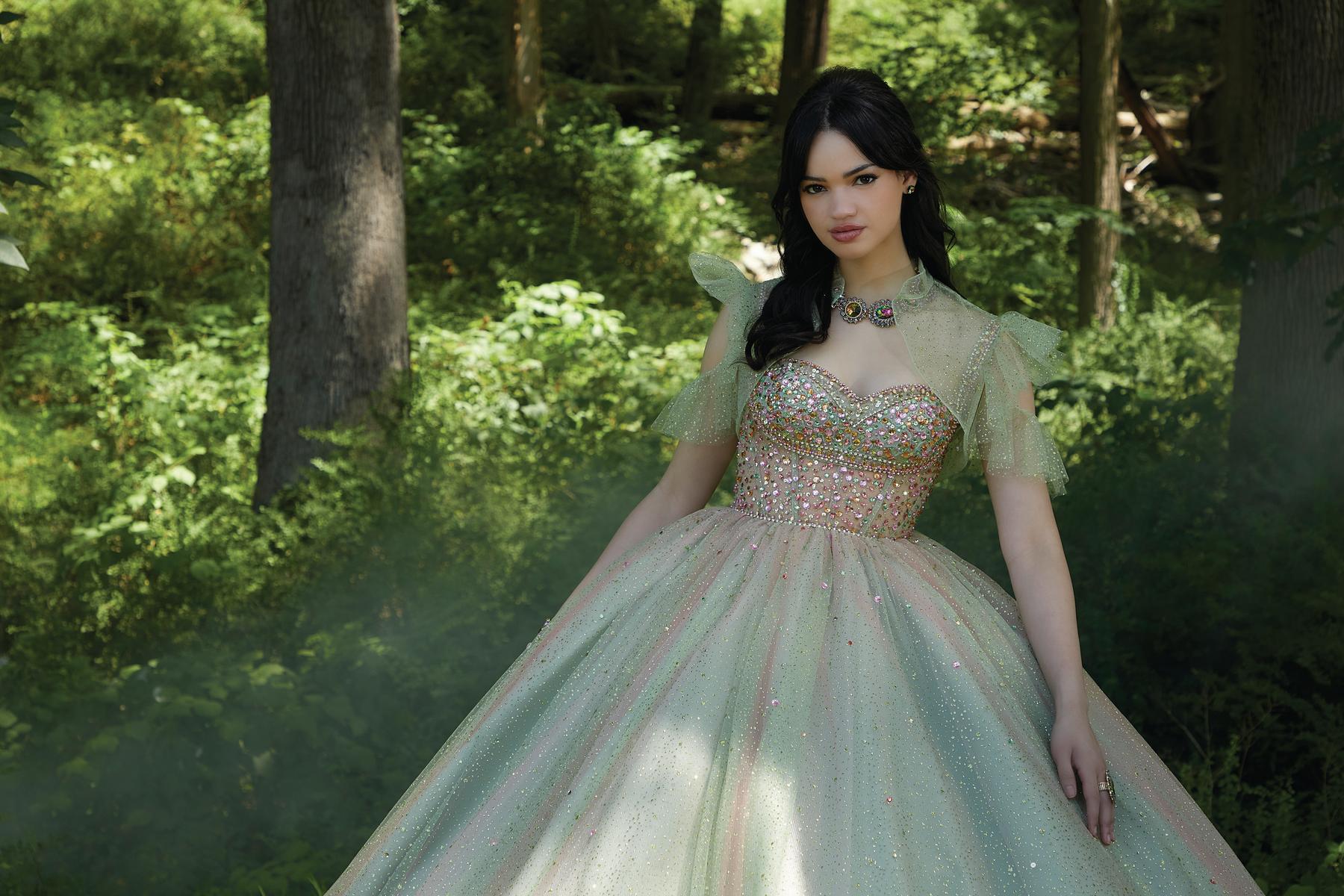 Valencia Quinceanera by Morilee Dress 60192 - Image 9