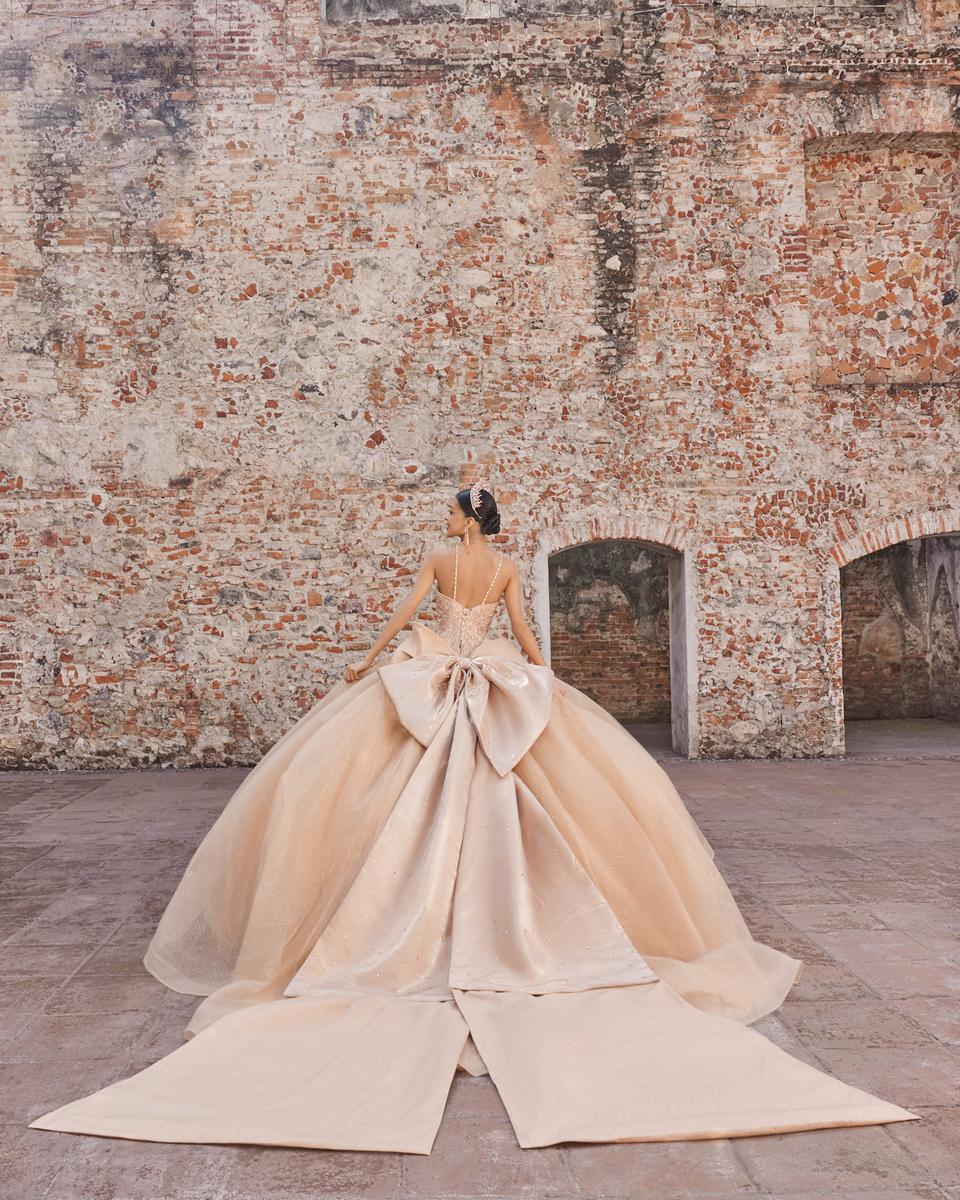 Vizcaya by Morilee Dress 89541 - Image 4